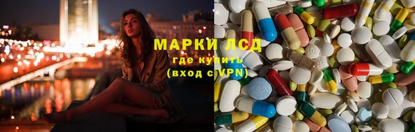 гидропоника Елабуга
