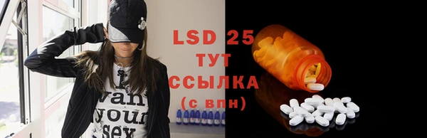 гидропоника Елабуга