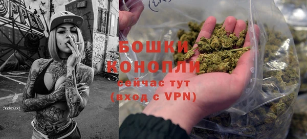 гидропоника Елабуга