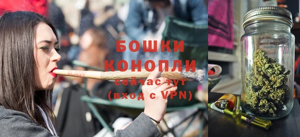 гидропоника Елабуга